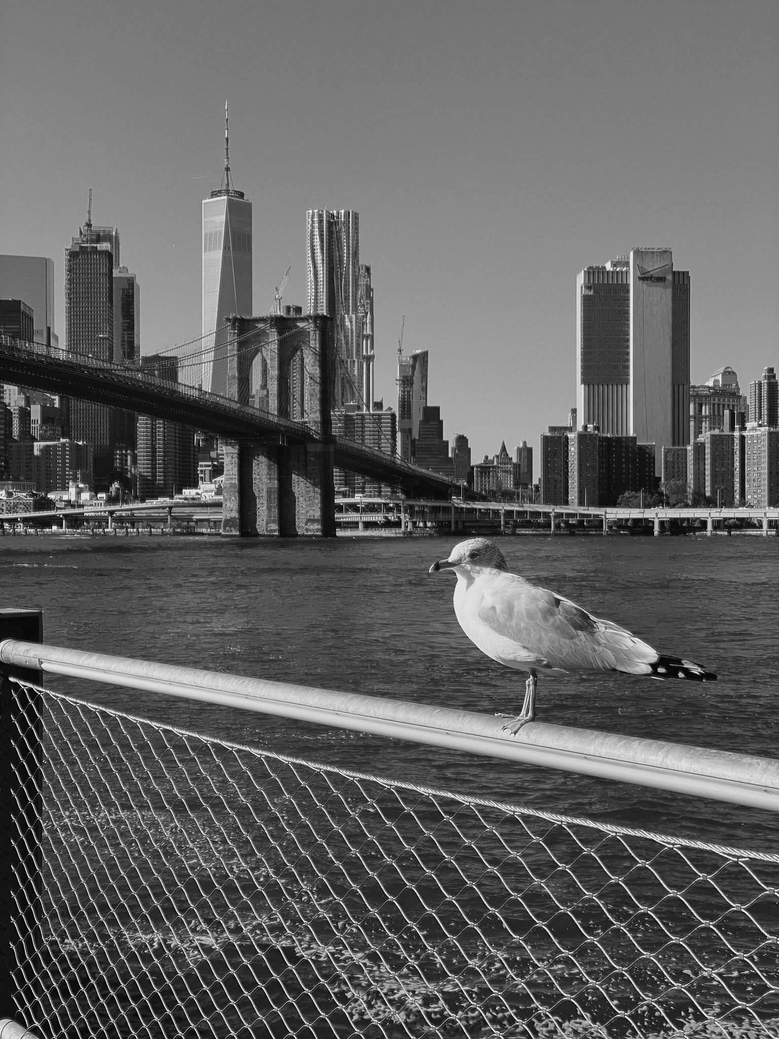 brooklyn bridge