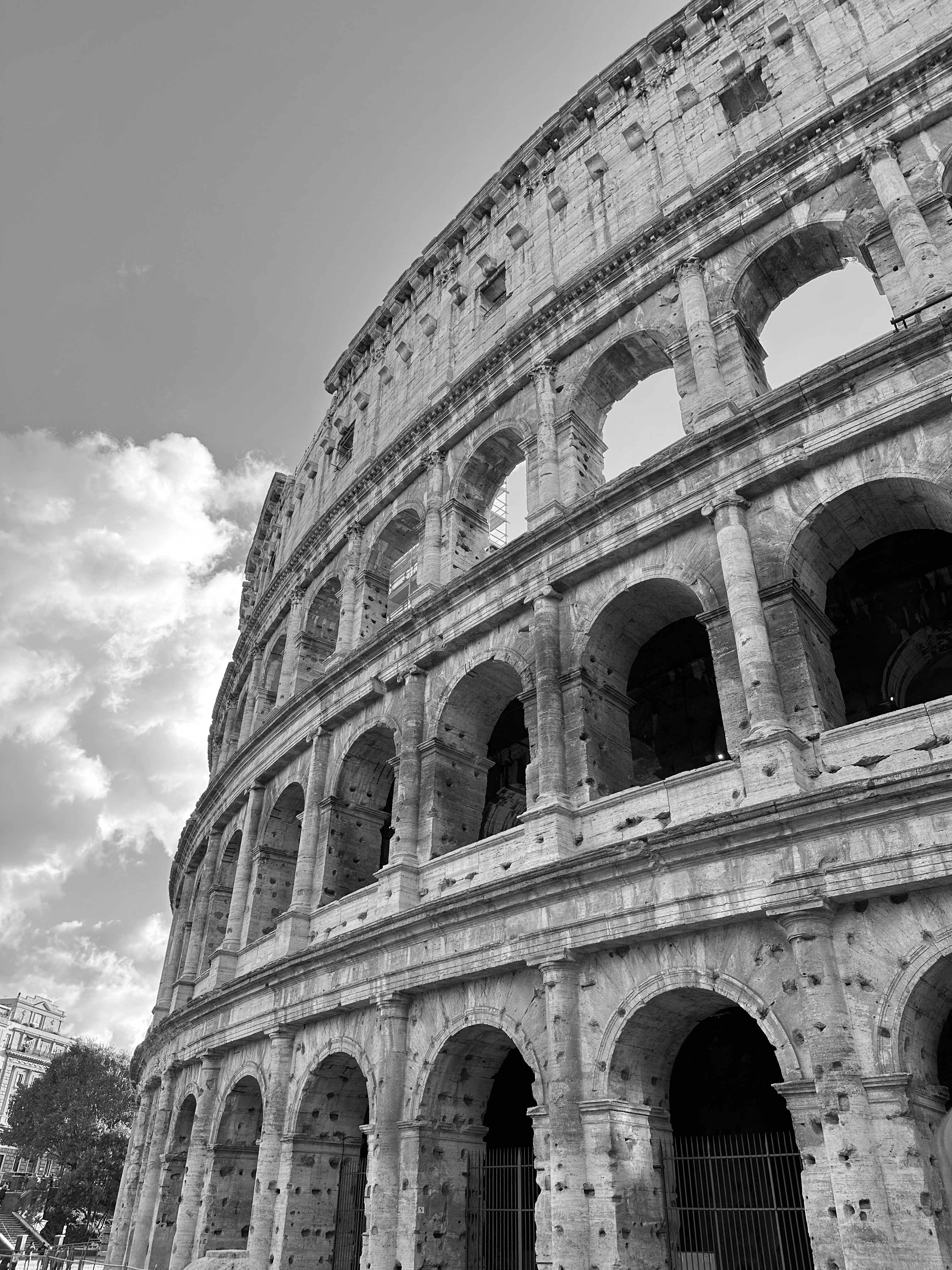 coliseo